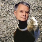 kaczor-kaczynski