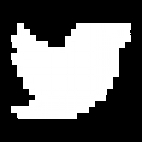 social_twitter_white.png