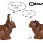 C__Data_Users_DefApps_AppData_INTERNETEXPLORER_Temp_Saved Images_images.jpg