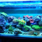 2016-02-08 17.01.09.jpg