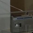 Amerykańska Wilga.JPG