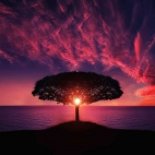 amazing-animal-beautiful-beautifull.jpg