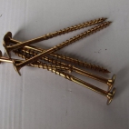 WKRĘTY CISIELSKIE.JPG