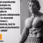 Motywacja do treningu, memy kulturystyczne, Arnold