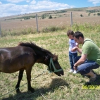 Aleksandar Kalajdziev