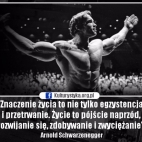 Motywacja Treningowa - memy i cytaty motywujące do treningu, Arnold