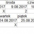 Grafik sierpniowy.jpg