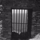 IMG_7497  (edytowany).JPG