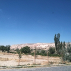 IMG_7930.JPG