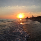 IMG_8219.JPG