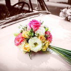 To jest bardzo długi tytuł ponad 100 znakówTo jest bardzo długi tytuł ponad 100 znakówTo jest bardzo długi tytuł ponad 100 znakówTo jest bardzo długi tytuł ponad 100 znakówTo jest bardzo długi tytuł ponad 100 znaków