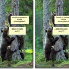 co nowego na stronie.jpg