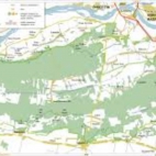 PUSZCZA KAMPINOSKA.jpeg