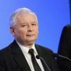 MORDA KACZORA 2.jpeg