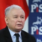 MORDA KACZORA 3.jpeg