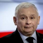 MORDA KACZORA 6.jpeg