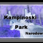 kampinoski park narodowy.jpg