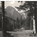 park narodowy fragment 58.jpg