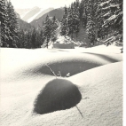 w dolinie chocholowskiej.jpg