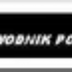 VIDEOPRzEWODNIK PO STRONIE.jpg