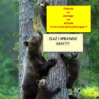 co nowego na stronie warszawa.ptt.org.pl.jpg