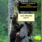 co nowego na str www.warszawa.ptt.org.pl.jpg