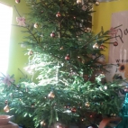 MIKOŁAJKI 2018 W PASIECE  8.jpg