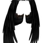 TarnishedGuardianWings.png