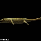 metriorhynchus_closeup.jpg