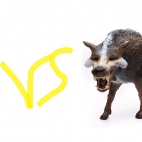 entelodont vs daenodon.png
