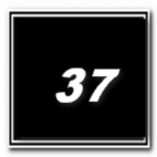 37.png