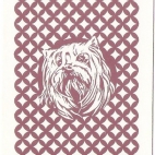 Pieski Małe i Duże Basset hound (2).jpg