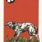 Pieski Małe i Duże Basset hound Wilk (8).jpg