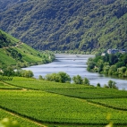 mosel-4336787__480.jpg