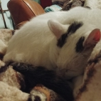 Galeria C.C.Catch027_194658.jpg