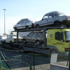 masowy import aut do polski