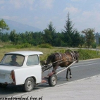 Trabant-koń