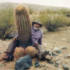 duży kaktus