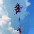 281.jpg