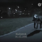 Boston pies morderca