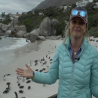 Agnieszka Kołodziejska