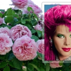 Galeria C.C.Catchpobrane (13).jpeg