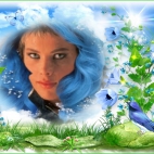 Galeria C.C.Catchd667ff7b0a97c582f51969a283682344.jpg