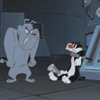 Sylwester i pies Kakanrek Maltański.jpg