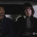 Finn sam w domu  witeczny skok.jpg