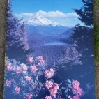 Obraz foto zdjęcia (4) 20200531_111215.jpg