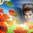 Galeria C.C.Catchf8c810612982dbd675e48be861c25c39.jpg