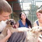 Cud miłości Adopcja bezdonych zwierząt ze schroniska.jpg