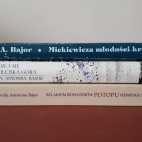 Books by Alwida Antonina Bajor