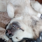 inbound166865287656967969